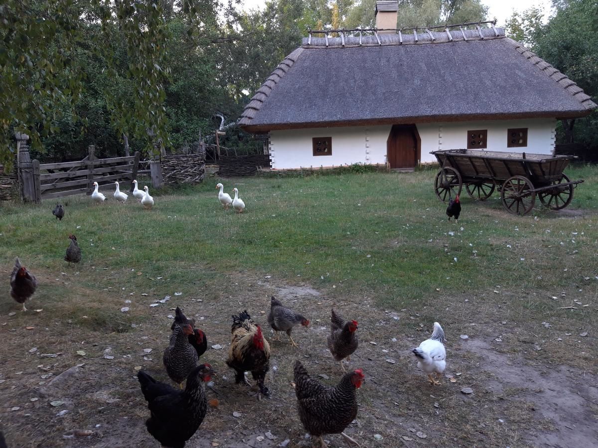 Отель Мамаєва Слобода Киев-36