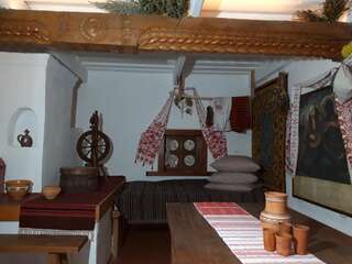 Отель Мамаєва Слобода Киев Двухместный номер с 1 кроватью-1