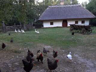 Отель Мамаєва Слобода Киев Двухместный номер с 1 кроватью-13