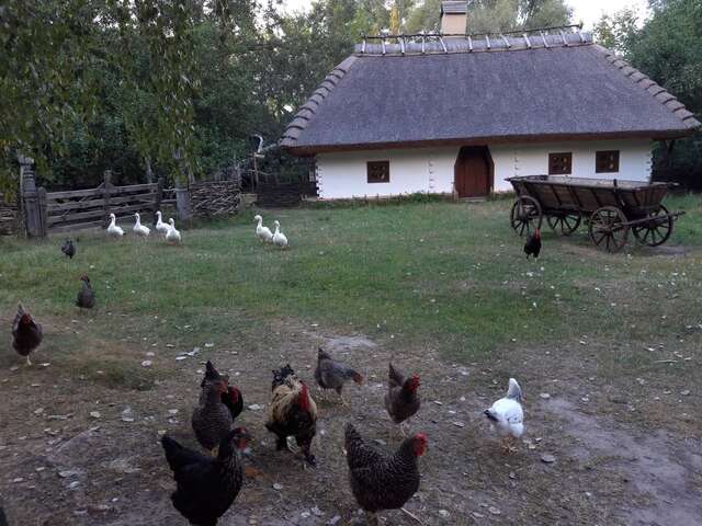 Отель Мамаєва Слобода Киев-35