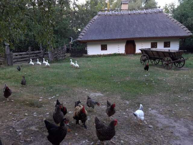 Отель Мамаєва Слобода Киев-49